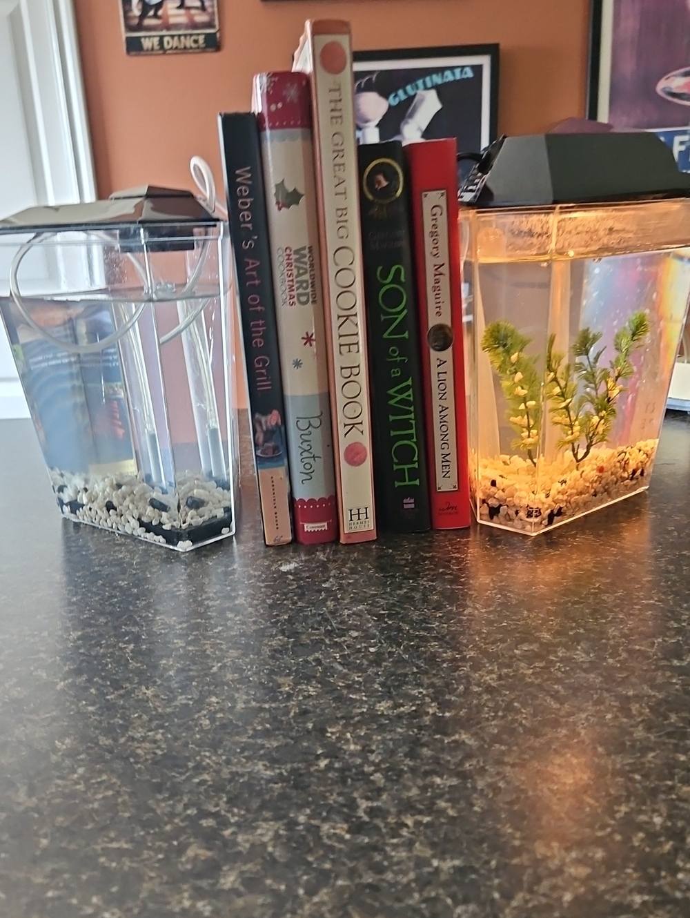 Decorative Book End Mini Aquariums